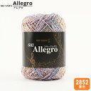 秋冬毛糸 『SKI Allegro (スキーアレグロ) 2852番色』 SKIYARN スキーヤーン
