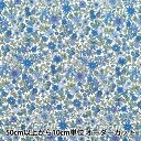 【数量5から】 生地 『リバティ・ファブリックス タナローン フルーツポンチ 3634194-24BU』 Liberty Japan リバティジャパン(3)