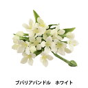 造花 シルクフラワー 『ブバリアバンドル ホワイト』