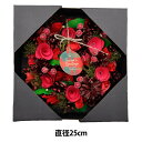 リース 完成品 『完成リース 直径25cm ローズレッド 660-064』 SG Wonder zone