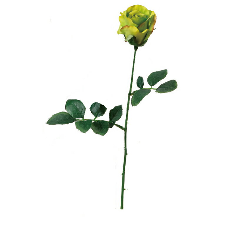 造花 シルクフラワー 『アリスローズ セロリ A-31300-051』 asca アスカ商会
