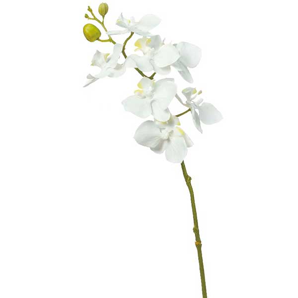 造花 ドライフラワー 『オーキッド×7 つぼみ×2 ホワイト A-33000-001』 asca アスカ商会