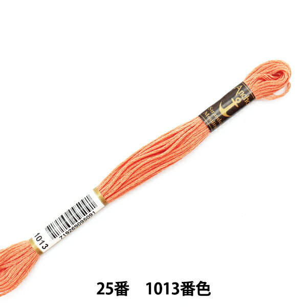 刺しゅう糸 『Anchor(アンカー) 25番刺繍糸 1013番色』
