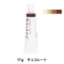 陶芸用絵具 『下絵具 TS-57 チョコレート チューブ入り』