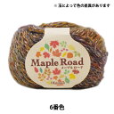 秋冬毛糸 『Maple Road (メープルロード) 6番色』 Olympus オリムパス