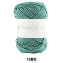 秋冬毛糸 『Amerry (アメリー) 12番色』 Hamanaka ハマナカ