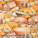 【数量5から】 生地 『インクジェットプリント チーズ 388-multi』 USAコットン(3)