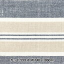 生地 『ヘビーコットンカラーカットクロス 約140cm×100cm C-1339-2』