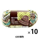 【10玉セット】秋冬毛糸 『Ski Sluby(スキースラビー) 6305番色』 SKIYARN スキーヤーン【まとめ買い・大口】