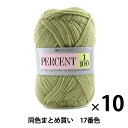 【10玉セット】秋冬毛糸 『PERCENT(パーセント) 1/100 17番色』 RichMore リッチモア【まとめ買い・大口】