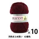【10玉セット】秋冬毛糸 『PERCENT(パーセント) 1/100 63番色』 RichMore リッチモア【まとめ買い・大口】