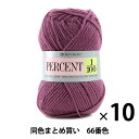 【10玉セット】秋冬毛糸 『PERCENT(パーセント) 1/100 66番色』 RichMore リッチモア【まとめ買い・大口】