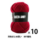 【10玉セット】毛糸 『QUEEN ANNY(クイーンアニー) 897番色』 Puppy パピー【まとめ買い・大口】