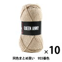 【10玉セット】毛糸 『QUEEN ANNY(クイーンアニー) 955番色』 Puppy パピー【まとめ買い・大口】