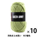 【10玉セット】毛糸 『QUEEN ANNY(クイーンアニー) 957番色』 Puppy パピー【まとめ買い・大口】