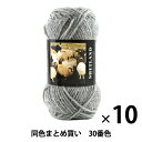 【10玉セット】秋冬毛糸 『SHETLAND(シェットランド) 30番色』 Puppy パピー【まとめ買い・大口】