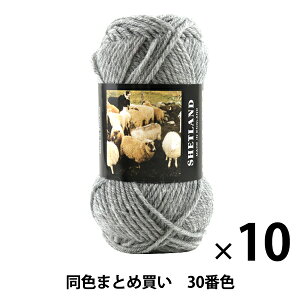 【10玉セット】秋冬毛糸 『SHETLAND(シェットランド) 30番色』 Puppy パピー【まとめ買い・大口】