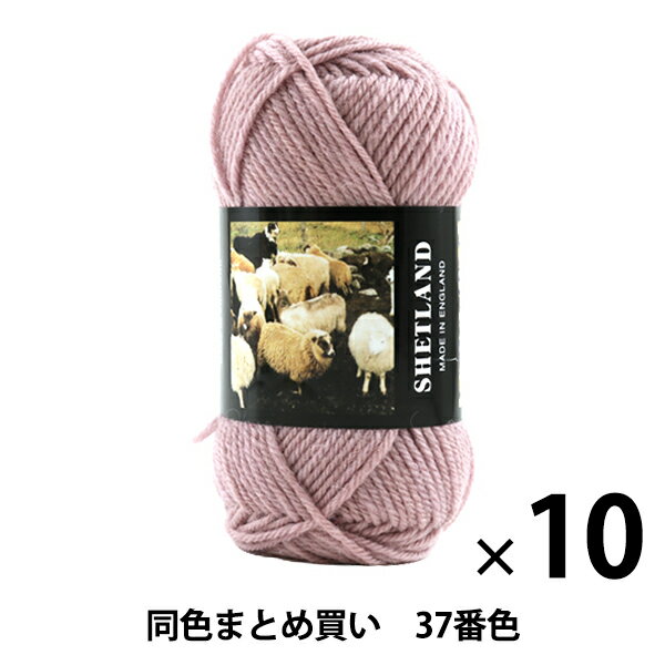 【10玉セット】秋冬毛糸 『SHETLAND(シェットランド) 37番色』 Puppy パピー【まとめ買い・大口】