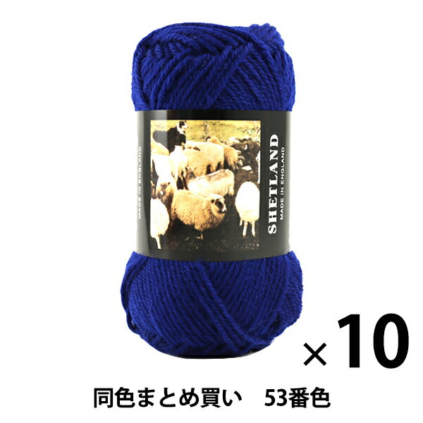 【10玉セット】秋冬毛糸 『SHETLAND(シェットランド) 53番色』 Puppy パピー【まとめ買い・大口】