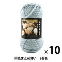 【10玉セット】秋冬毛糸 『SHETLAND(シェットランド) 9番色』 Puppy パピー【まとめ買い 大口】