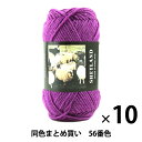 【10玉セット】秋冬毛糸 『SHETLAND(シェットランド) 56番色』 Puppy パピー【まとめ買い・大口】