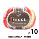 【10玉セット】秋冬毛糸 『LECCE(レッチェ) 411番色』 Puppy パピー【まとめ買い・大口】
