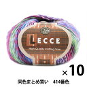 秋冬毛糸 『LECCE(レッチェ) 414番色』 Puppy パピー