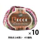 秋冬毛糸 『LECCE(レッチェ) 415番色』 Puppy パピー