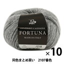 【10玉セット】秋冬毛糸 『FORTUNA(フォルトゥーナ) 2107番色』 Puppy パピー【まとめ買い・大口】