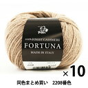 秋冬毛糸 『FORTUNA(フォルトゥーナ) 2208番色』 Puppy パピー