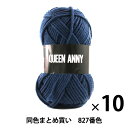【10玉セット】毛糸 『QUEEN ANNY(クイーンアニー) 827番色』 Puppy パピー【まとめ買い・大口】