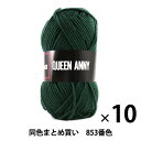 【10玉セット】毛糸 『QUEEN ANNY(クイーンアニー) 853番色』 Puppy パピー【まとめ買い・大口】