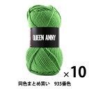 【10玉セット】毛糸 『QUEEN ANNY(クイーンアニー) 935番色』 Puppy パピー【まとめ買い・大口】