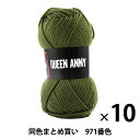 【10玉セット】毛糸 『QUEEN ANNY(クイーンアニー) 971番色』 Puppy パピー【まとめ買い・大口】