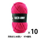 【10玉セット】毛糸 『QUEEN ANNY(クイーンアニー) 974番色』 Puppy パピー【まとめ買い・大口】
