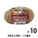 【10玉セット】秋冬毛糸 『NEW 2PLY(ニューツープライ) 213番色』 Puppy パピー【まとめ買い・大口】