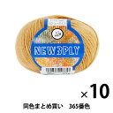 【10玉セット】秋冬毛糸 『NEW 3PLY(ニュースリープライ) 365番色』 Puppy パピー【まとめ買い・大口】