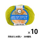 【10玉セット】秋冬毛糸 『NEW 3PLY(ニュースリープライ) 369番色』 Puppy パピー【まとめ買い・大口】
