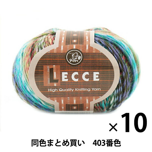 【10玉セット】秋冬毛糸 『LECCE(レッチェ) 403番色』 Puppy パピー【まとめ買い・大口】