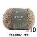 【10玉セット】秋冬毛糸 『原毛に近いメリノウール 3番色』 DARUMA ダルマ 横田【まとめ買い・大口】