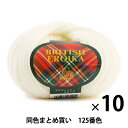 【10玉セット】毛糸 『BRITISH EROIKA(ブリティッシュエロイカ) 125(オフ白)番色』 Puppy パピー【まとめ買い・大口】