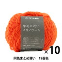 【10玉セット】秋冬毛糸 『原毛に近いメリノウール 19番色』 DARUMA ダルマ 横田【まとめ買い・大口】