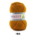 秋冬毛糸 『PERCENT (パーセント) 1/100 7番色』 RichMore リッチモア