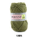 秋冬毛糸 『PERCENT (パーセント) 1/100 12番色』 RichMore リッチモア