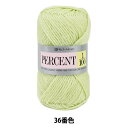 秋冬毛糸 『PERCENT (パーセント) 1/100 36番色』 RichMore リッチモア