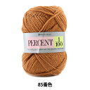 秋冬毛糸 『PERCENT (パーセント) 1/100 85番色』 RichMore リッチモア