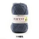 秋冬毛糸 『PERCENT (パーセント) 1/100 119番色』 RichMore リッチモア