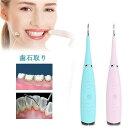 振動スケーラー 歯周病予防 口腔洗浄器 歯石取り 超音波スケーラー 歯石取りスクレーパー 電動歯クリーナー USB充電式歯ブラシ 防水 歯科用 歯石取り 歯石除去 歯用ツール 口臭防止(2)