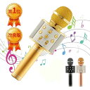 カラオケマイク KARAOKE Microphone FG-WS858-BK