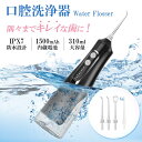 口腔洗浄器 ジェットウォッシャー コードレス口腔洗浄機 超音波 USB充電式 310ML大容量タンク コンパクト洗浄 デンタルケア 家庭用